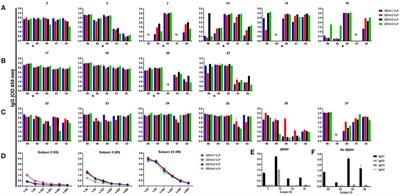 Longitudinal Analysis of Memory B and T Cell Responses to Dengue Virus in a 5-Year Prospective Cohort Study in Thailand